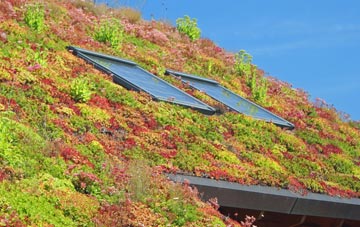 Harmer Hill living roof systems